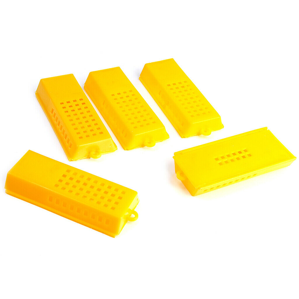 10 Queen Bee Butler Cages with Beekeeping Tools