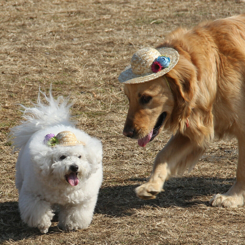 Pet Dog Cat Party Costume Accessory Straw Sombrero Hat Adjustable Buckle Denim M