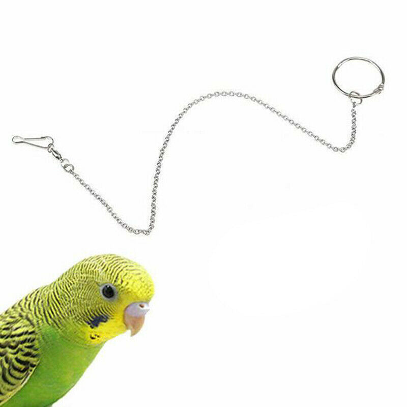 Parrot Leg Ring Ankle Foot Chain Bird Outdoor Flying Training Activity St.l8