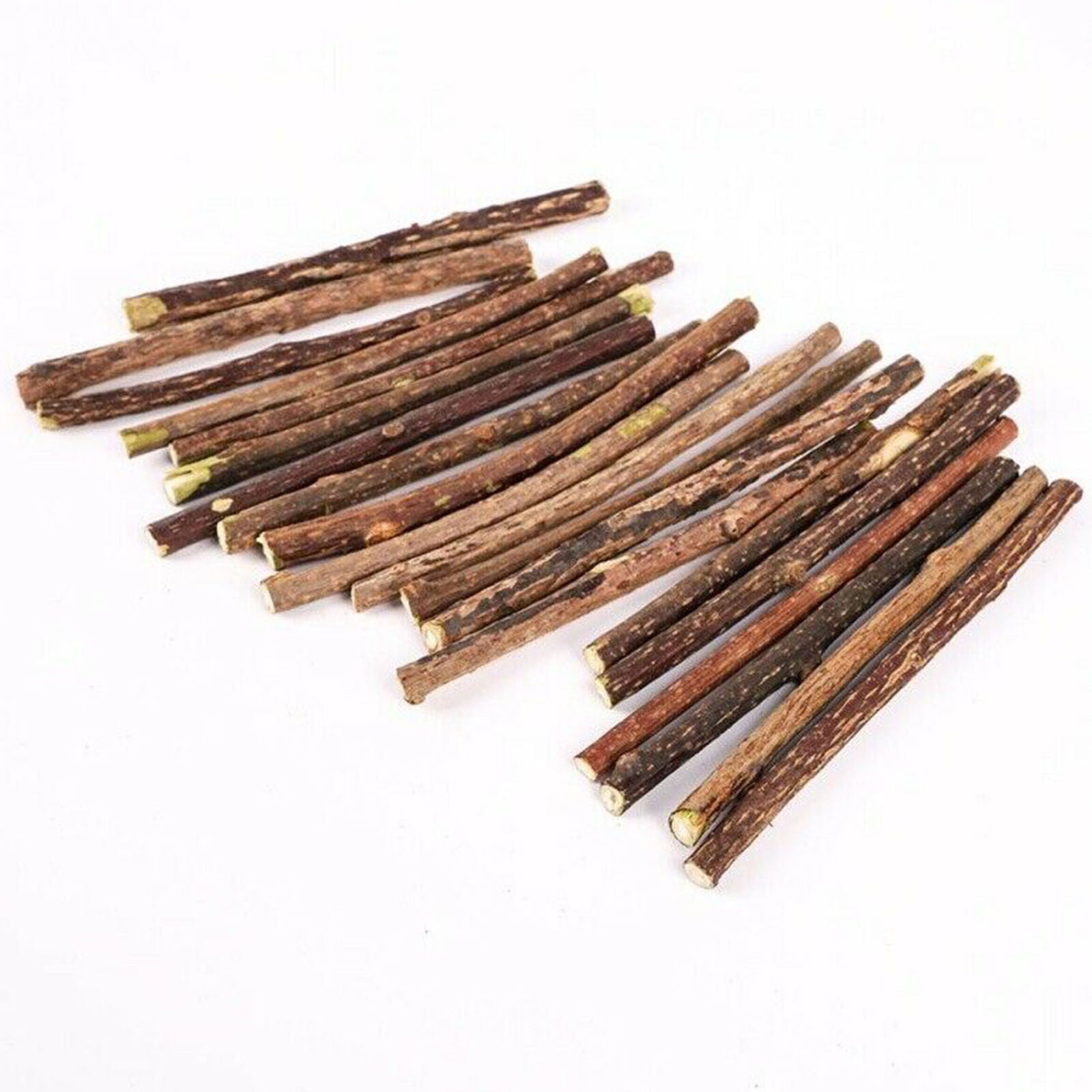 Cat Cleaning Teeth Catnip Pet Cat Molar Toothpaste Silvervine Cat Snacks Sticks