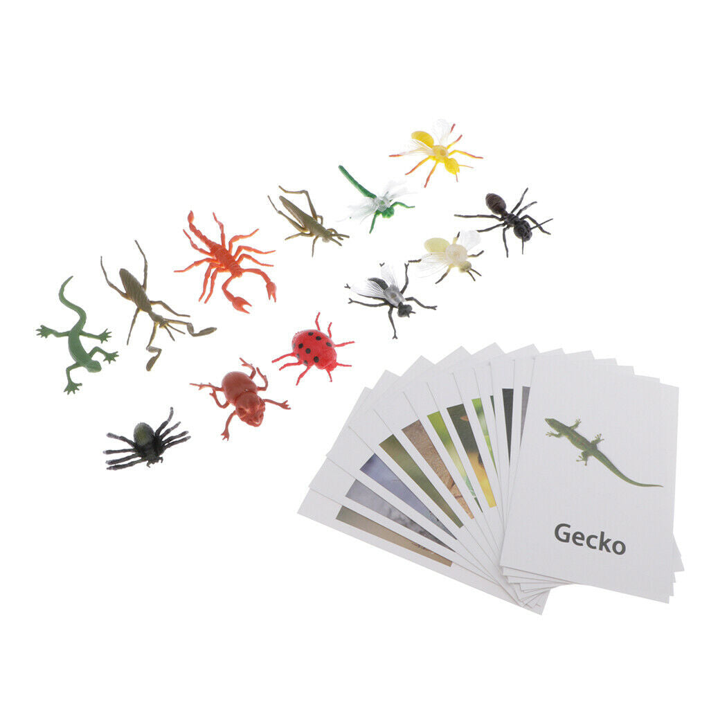 12pcs Insect Animal Match, with Learning Language Kids Cognitive Skills