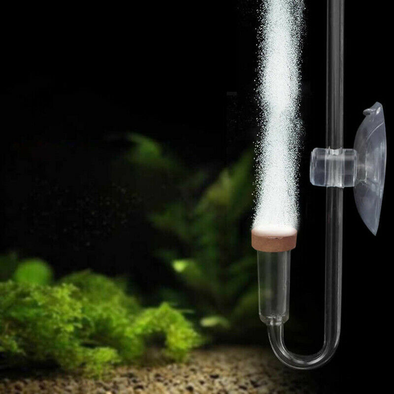 CO2 Diffuser Suction Cup Fixing Atomizer Bubble Aquarium CO2 Plants Regula Y Pb