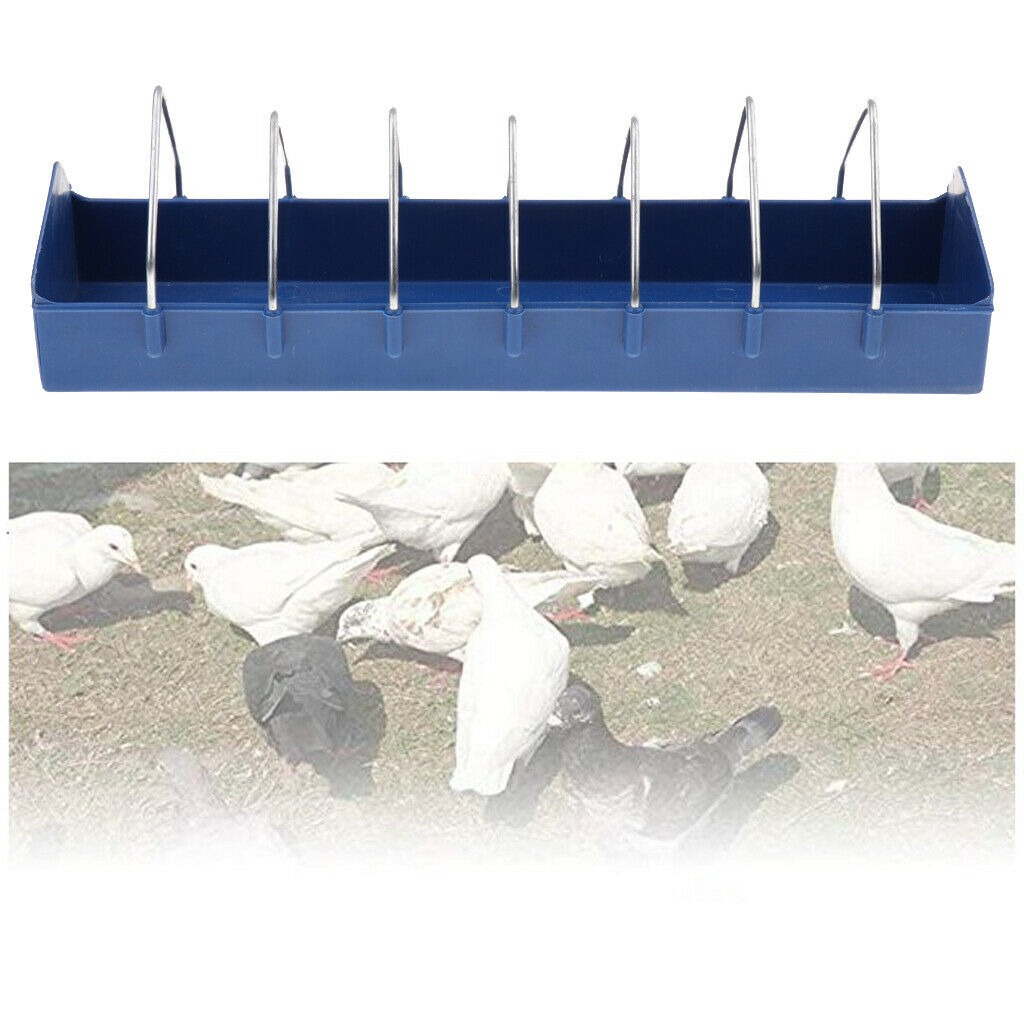 Chicken Poultry Feeder Trough Chicken Rearing Tool for Blue Chicken Pigeon