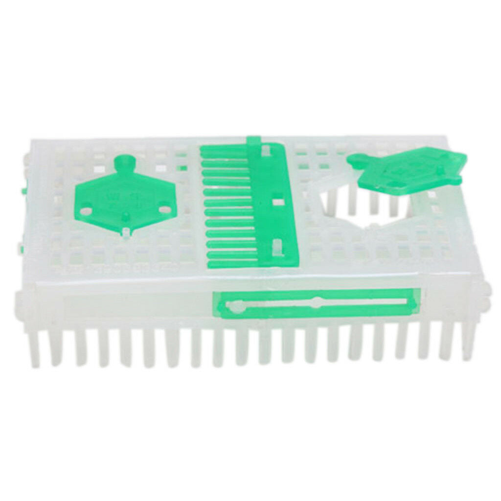 Beekeepers White Green Queen Bee Needle Isolator Cage Double Cages Design