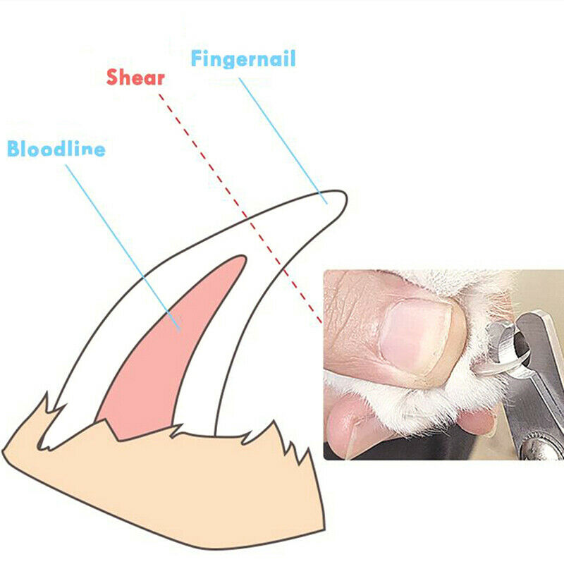 Pet Cat Dog Nail Clipper Cutter Stainless Steel Grooming Scissors Clipper.l8