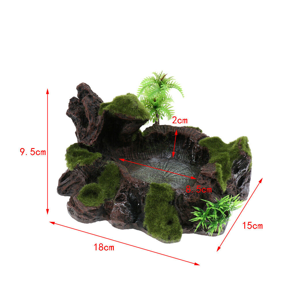 2x Reptile Water Lizards Turtle Feeder Dish for Reptile Bearded Dragons