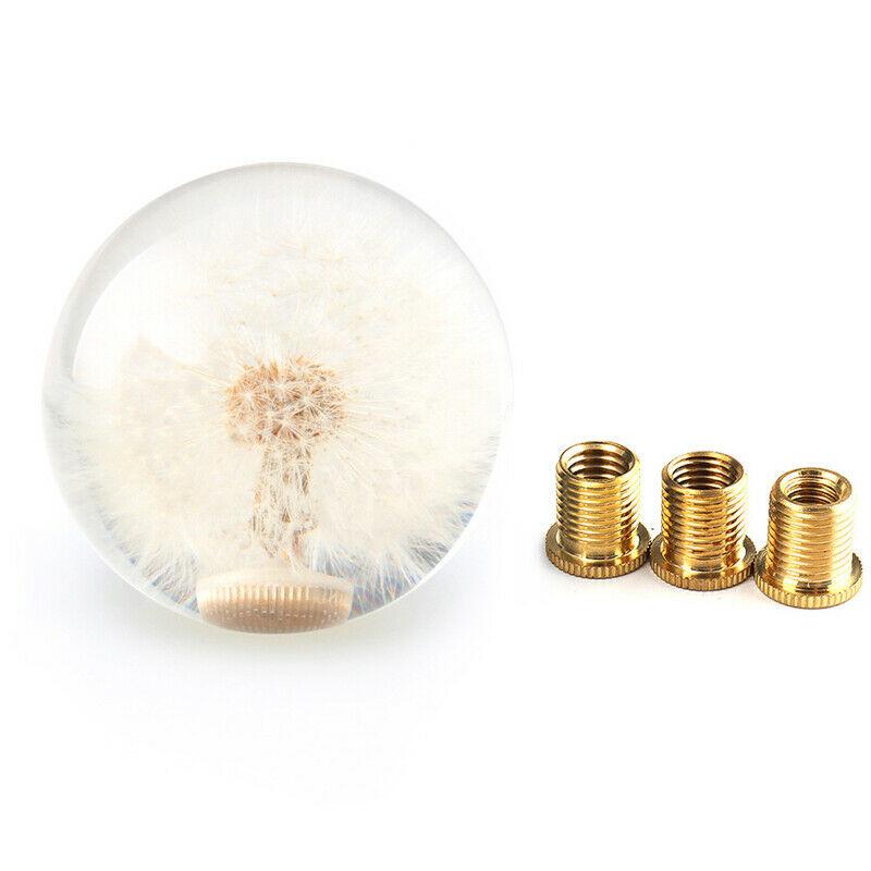 Car Shift Knob Head 70MM Crystal Ball with Dandelion Real Flowers M8 M10 Adapter