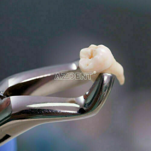 10 Models Dental Surgical Extraction Tooth Extracting Forceps Non-slip Forceps