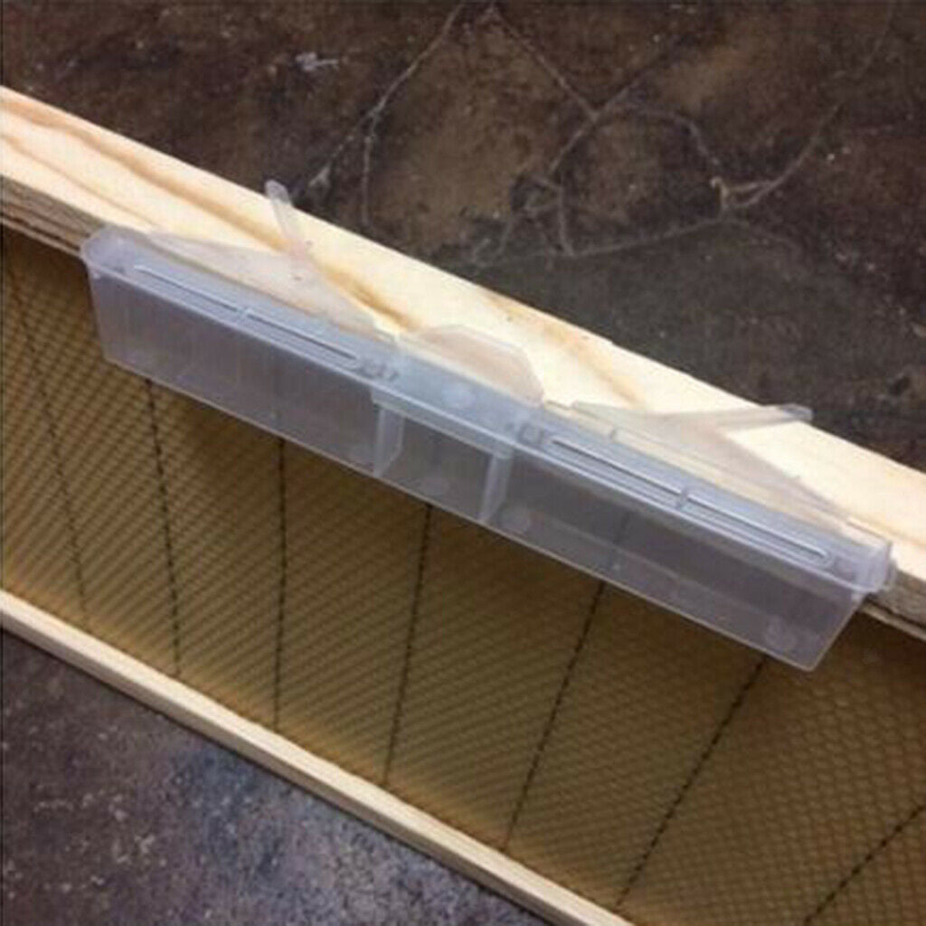 Clear Beetle Traps Baitable Reuse Beekeeping Tools Supply Friendly 17x3cm