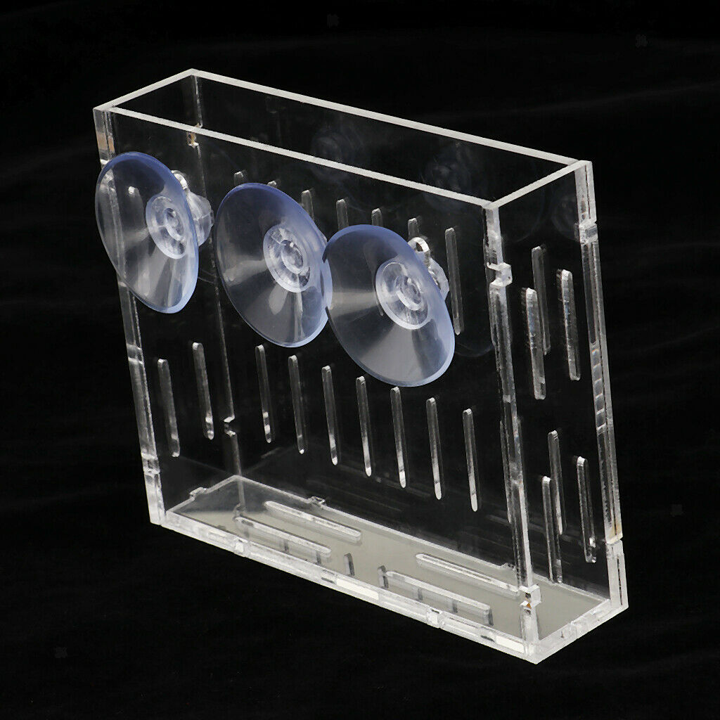 Acrylic Water Plant   Glossostigma Hemianthus Callitrichoides Cup Vase