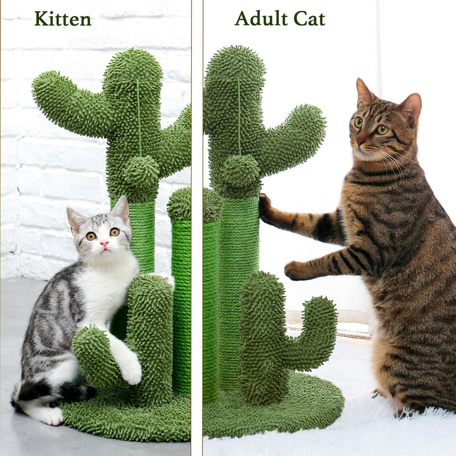 Cat Scratching Post Fresh Green Sisal Rope Wrapped Pole Scratcher Poles