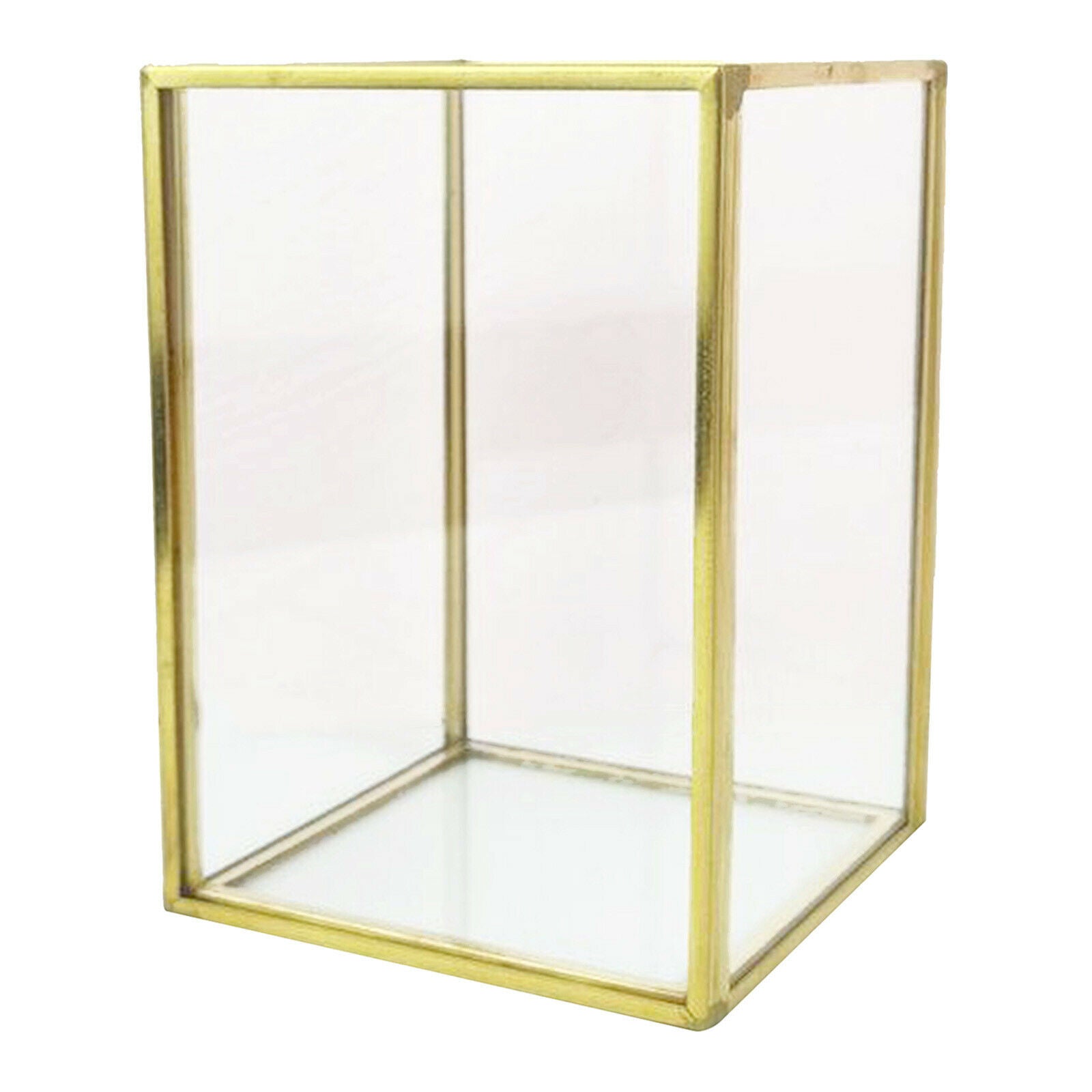 Vanity Brush Display Organizer, Cosmetic and Jewelry Storage Container, Pen
