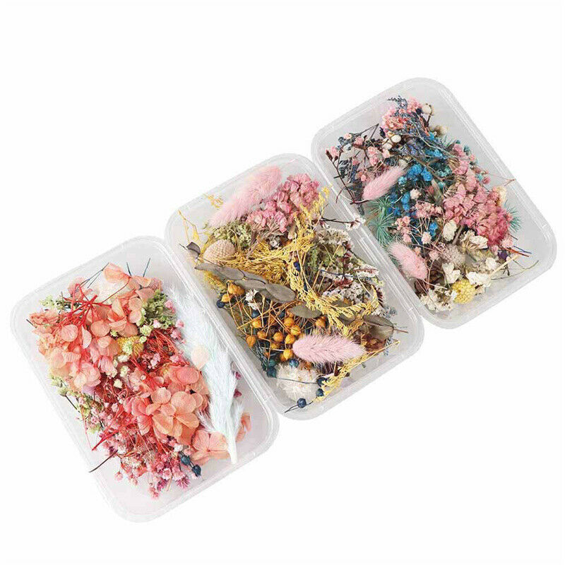 Dried Flower Aromatherapy Candle Making DIY Material For Candle Soap Mak CgR XC