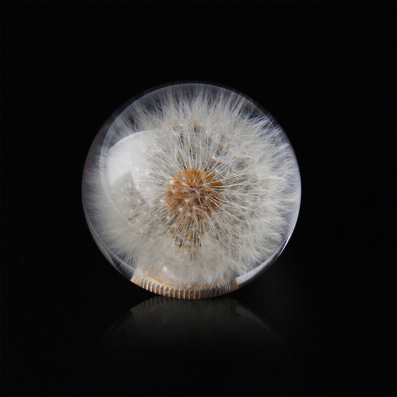Car Shift Knob Head 70MM Crystal Ball with Dandelion Real Flowers M8 M10 Adapter