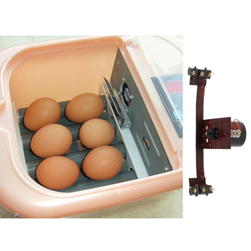 Universal Eggs Poultry Incubator Motor Hatcher Rotator Chicken Duck Quail