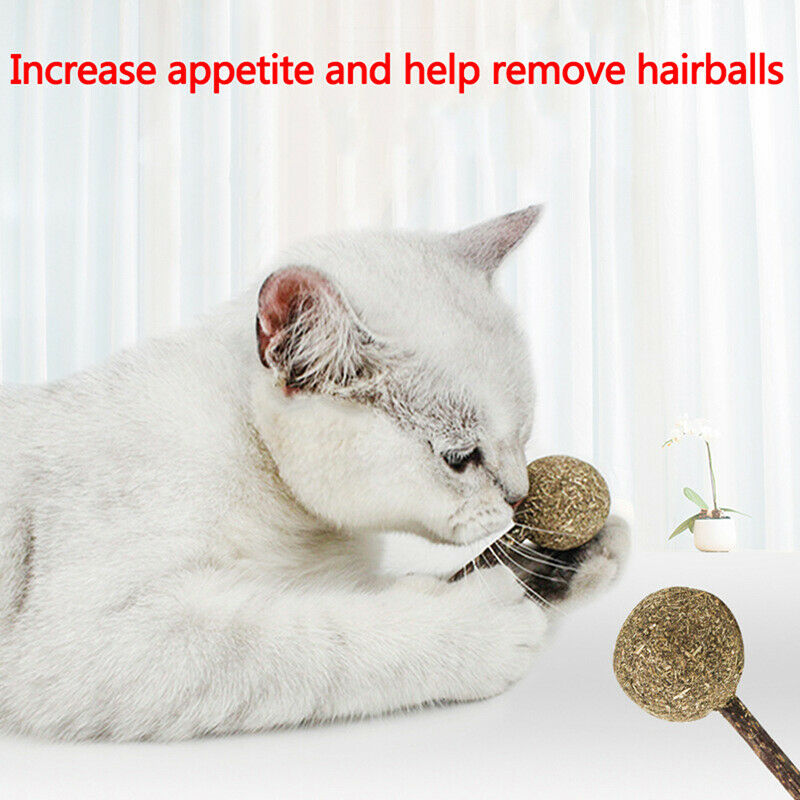 Catnip Chewing Teeth Cleaning Treats Lollipop Natural Catnip Lollipop Sh .l8