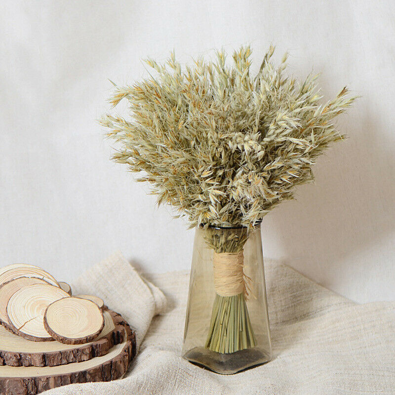 20 Pcs Natural Dried Flowers Grain Bouquet for Wedding Party Decoration Home DIY