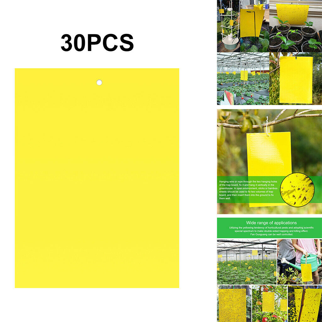 Double-Sided Sticky Traps 6x4 Inch for Whiteflies Aphids Thrips 30pcs