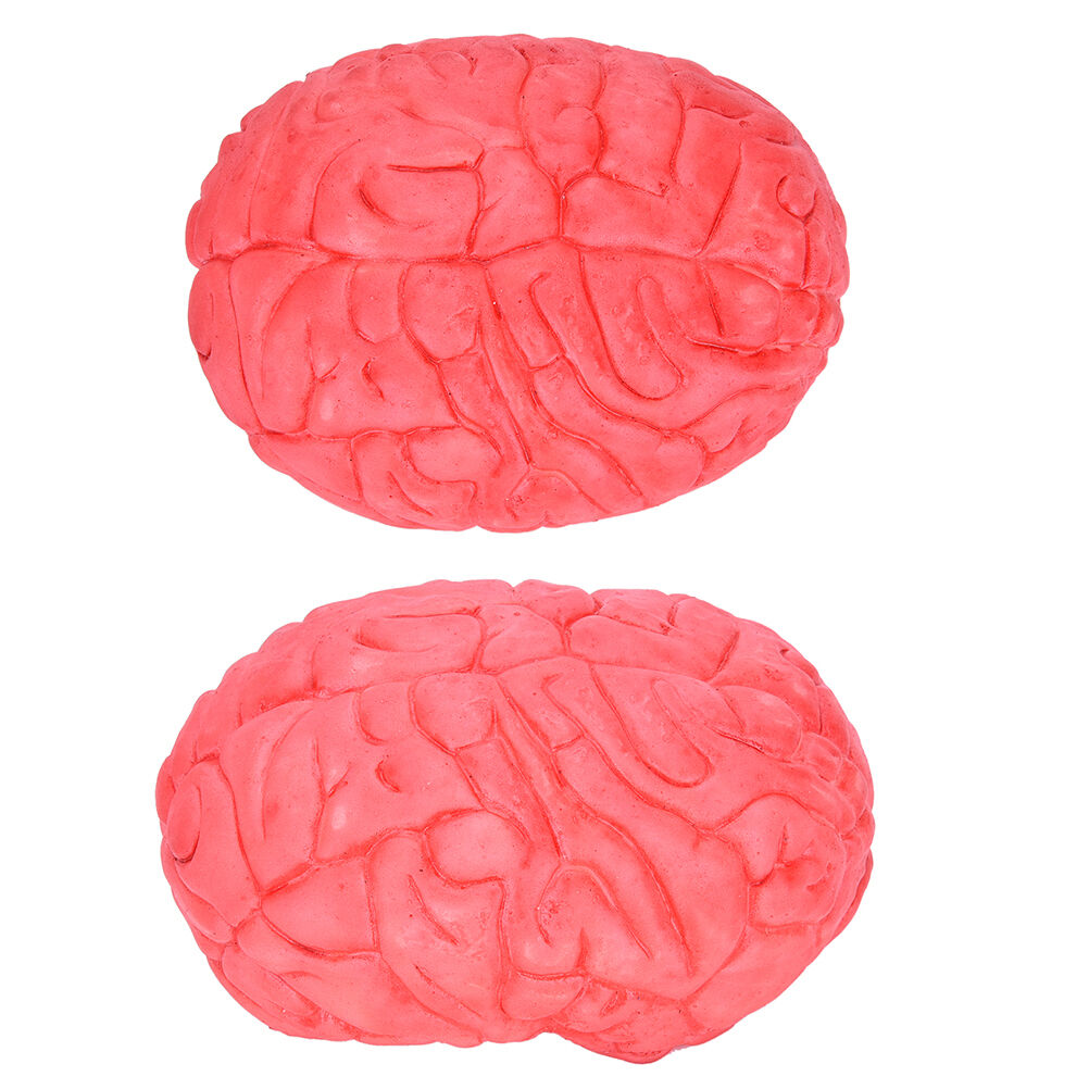 Scary Haunted House HUMAN BRAIN Organ"Body Part Halloween Horror Prop Decor F XC