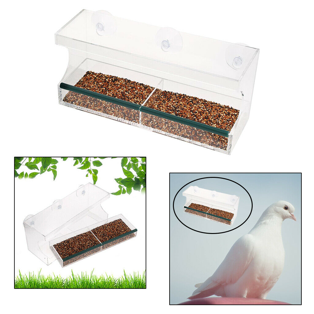 Hanging Window Bird Feeder Clear Wild Bird Feeder Outside View Up Close Bird