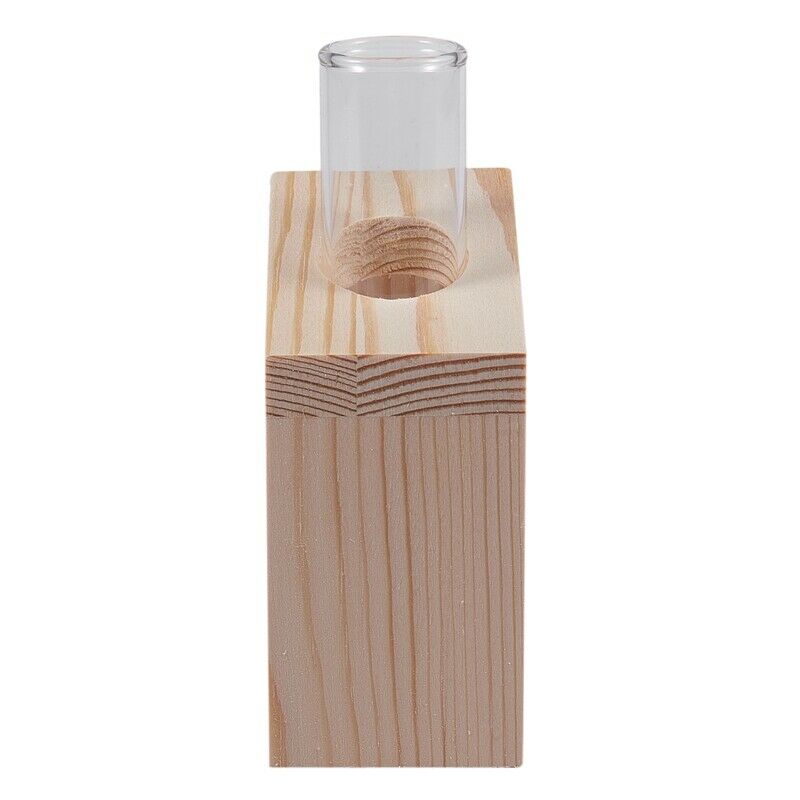 Crystal Glass Test Tube Vase in Wooden Stand Flower Pots for Hydroponic PlantsI1