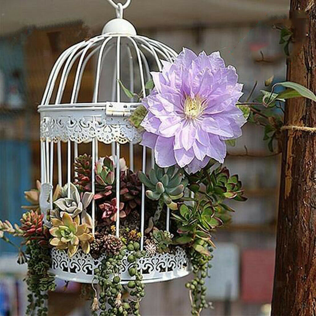 Iron Birdcage Frame Wire Succulent Pot Metal Planter Iron Plant Basket 13cm