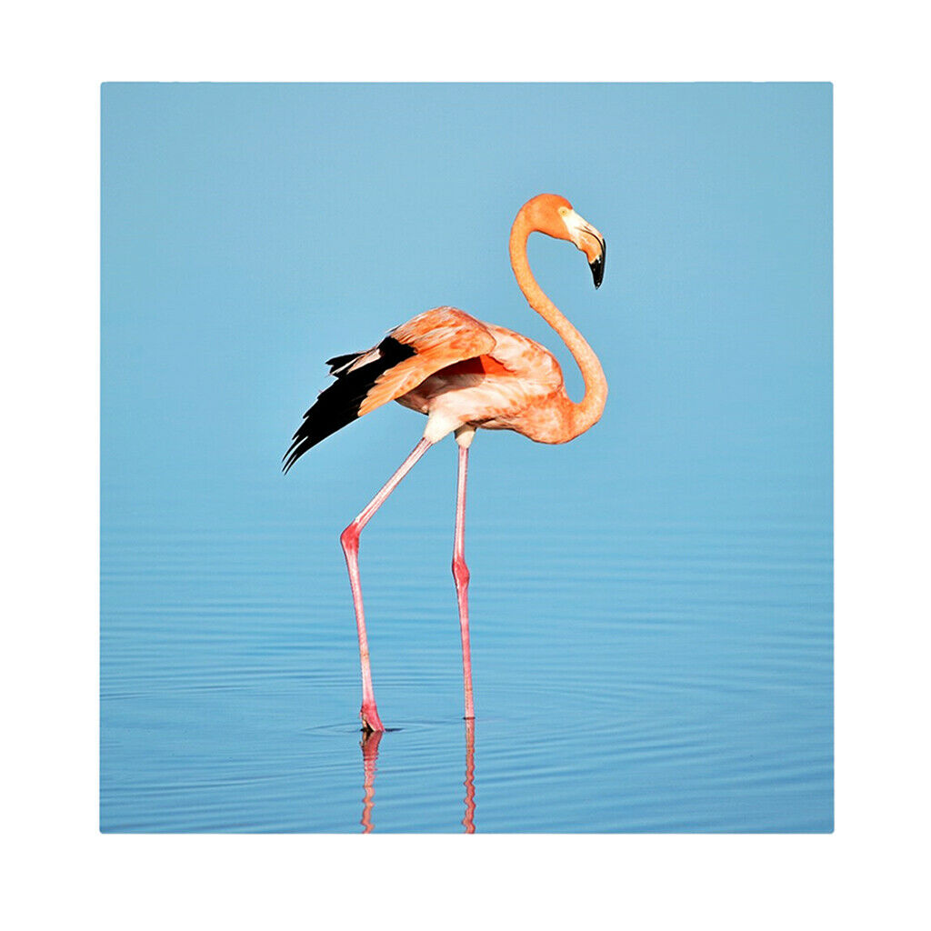 1 Set Daimond Painting Kit Lovely Animal Picture for Wall Decor Flamingos