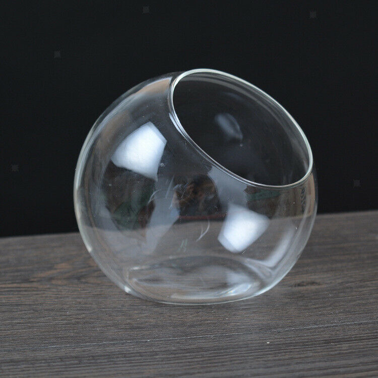 Clear Glass Flower Plant Vase Bottle Fairy Garden DIY Terrarium Container
