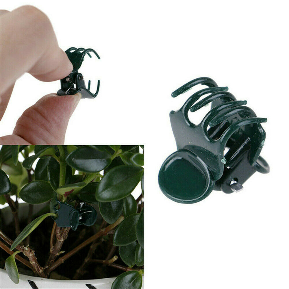100PC Plants Fix Clips Orchid Stem Vine Support Flowers Tied Branch Clamping Lot