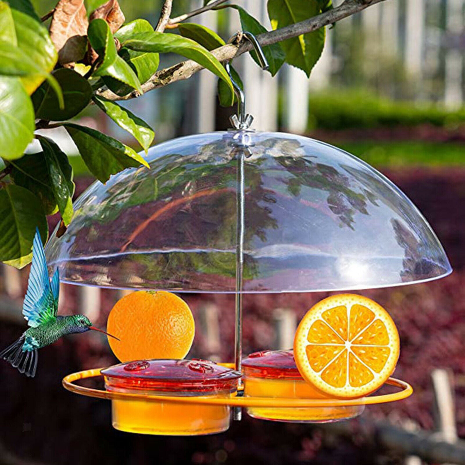Plastic Bird Feeder w/ Transparent Roof Garden Hanging Garden Patio Outdoor