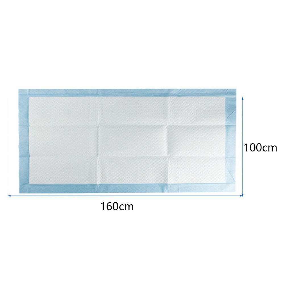 Disposable Pads Waterproof Protection for Older Pets Puppy