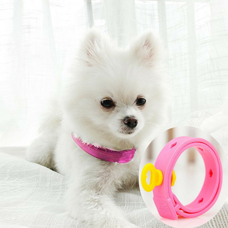 Dog Kitten Adjustable Pet Collar Neck Strap Remedy Anti Flea Mite Acari TickBDD