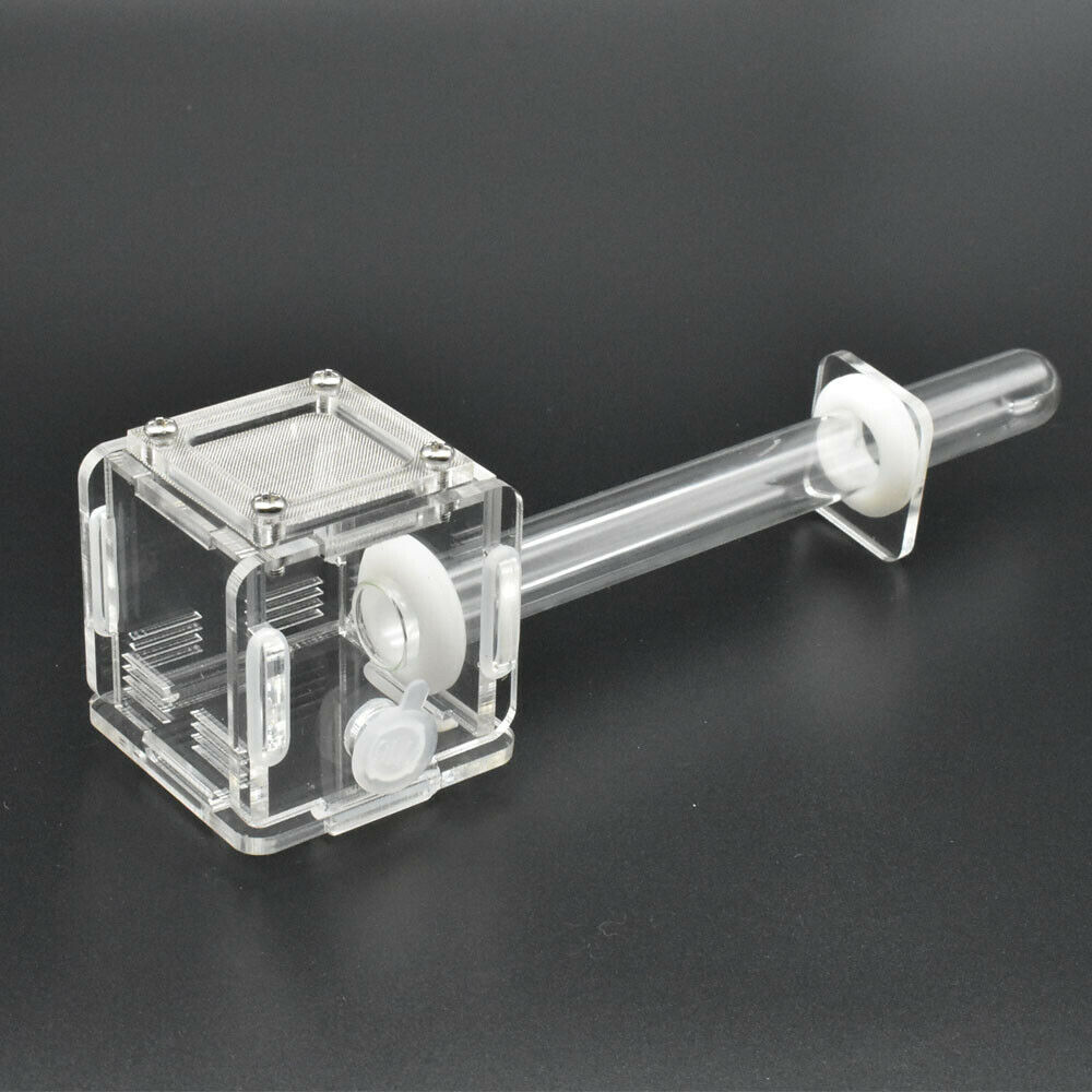 Acrylic Mini Ant Nest Glass Nest Tube Farm Formicarium Small Colony Feeding Area
