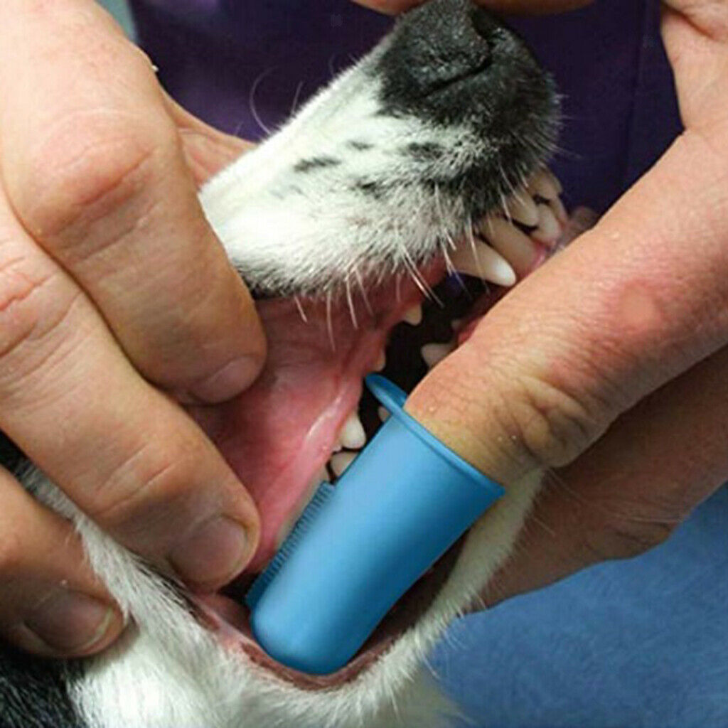 10 Pcs Dog Finger Toothbrush Dental Hygiene Finger Brushes for Dog Cat Blue
