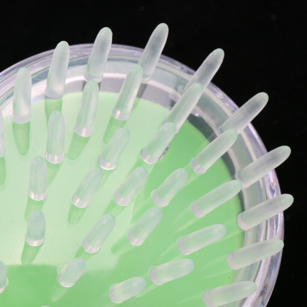 2 Pieces Round Scalp Massager Brush Brush Growth Head Shampoo
