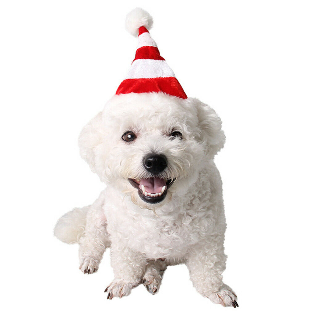 Pet Santa Hat   Christmas Party Accessory Dog Cat Costume for Small Pets