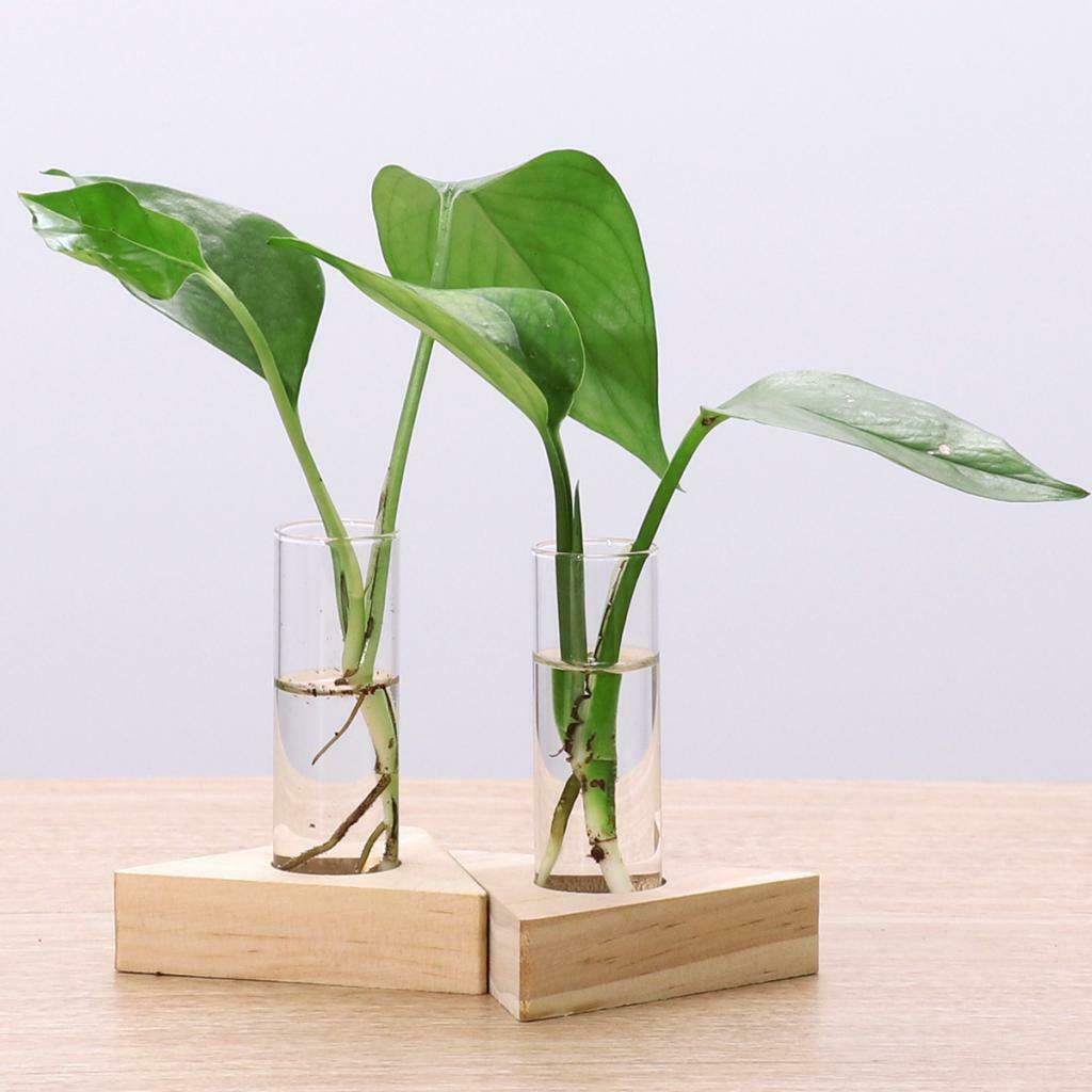 4 Pieces Glass Double Test Tube Vase Flower Pots for Hydroponic Plant