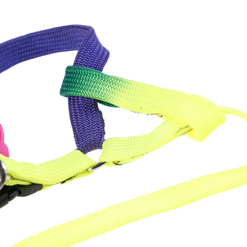 1 Pcs Elastic Rubber Band Tennis Ball Practice Training Belt Line Cord To.l8