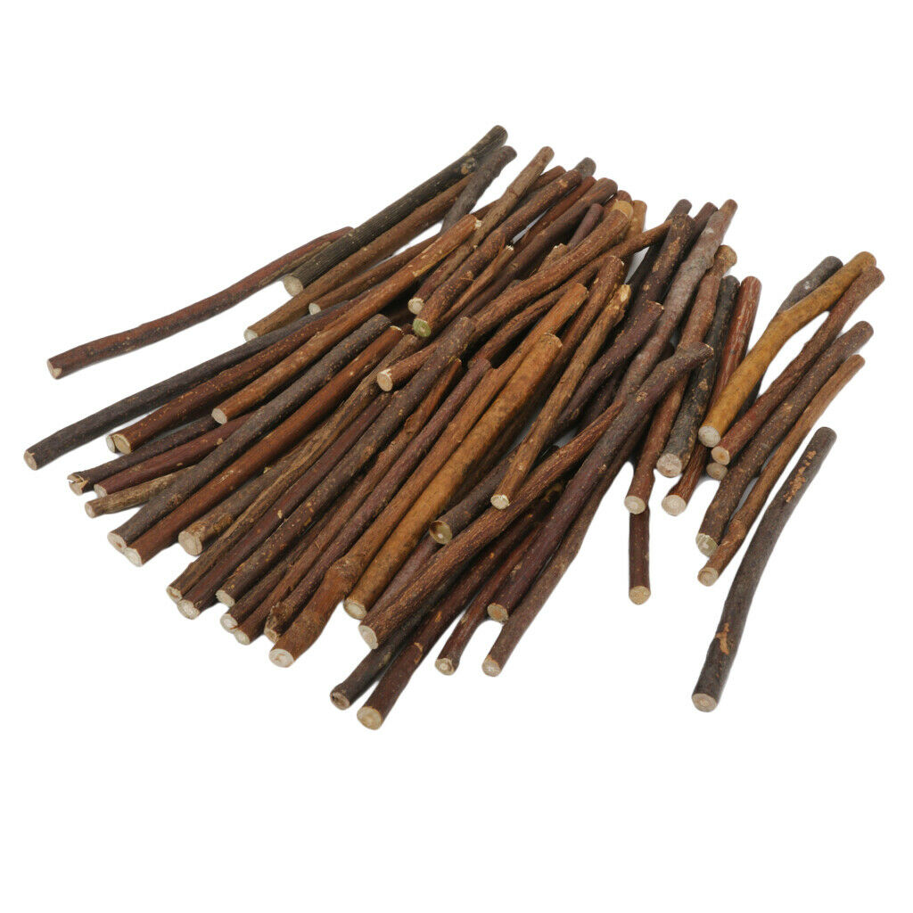 100pcs Natural Boxwood Tree Branch Sticks Branch for DIY Craft Decor