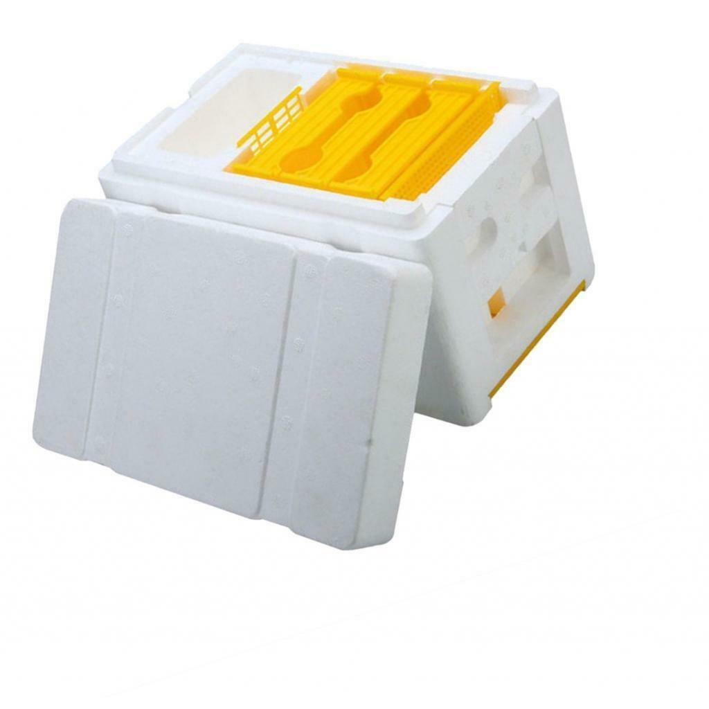 5X Bee Tail Box Bee Pollination Box Beehive King Box for Beekeeper Starter