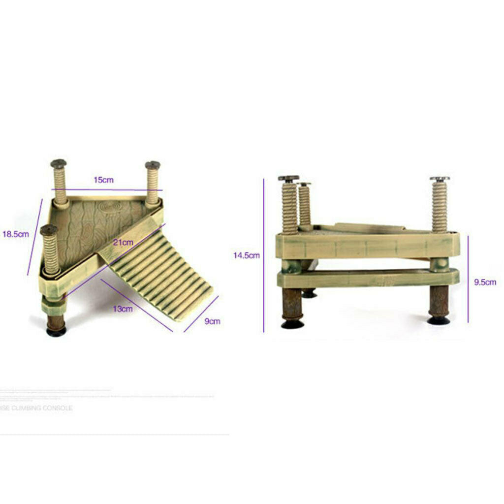 Decor Turtle Floating Dock Basking Platform Ramp Ladder with Support Frame for