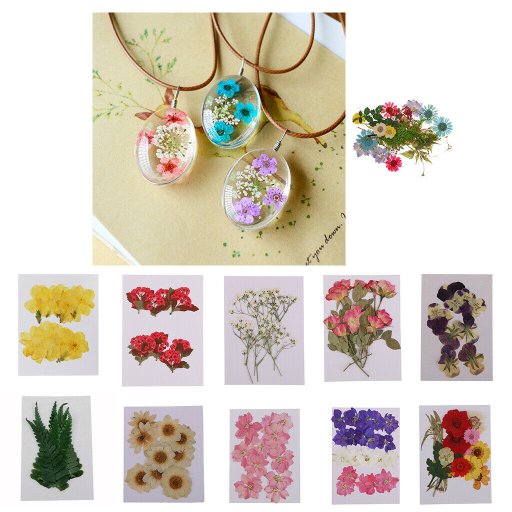 22pc Real Pressed Leaves Dried Flowers DIY Phone Case Decoration Card Making