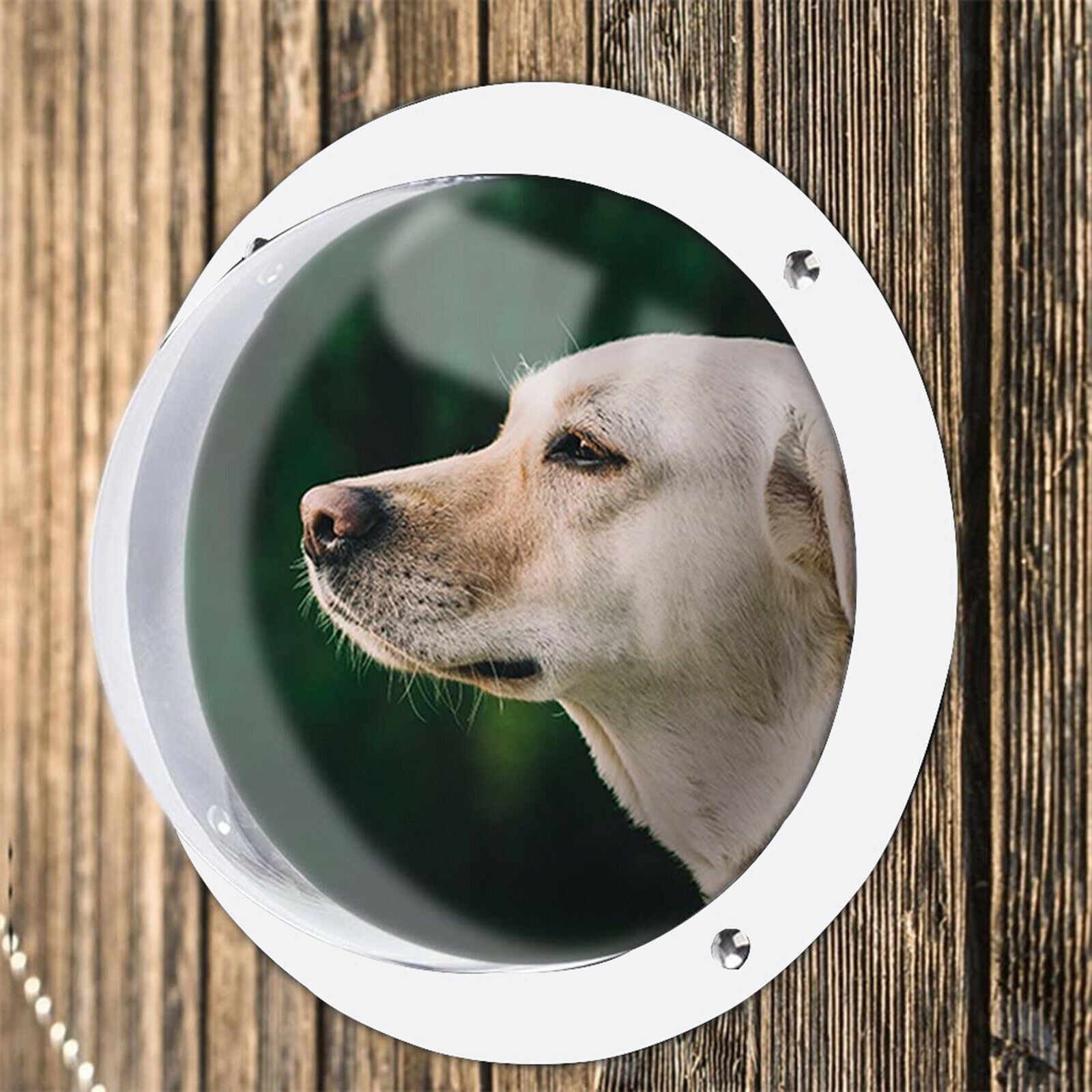 Dog Fence Window Acrylic Dog Dome for Backyard Fence Satisfying Curious Pets