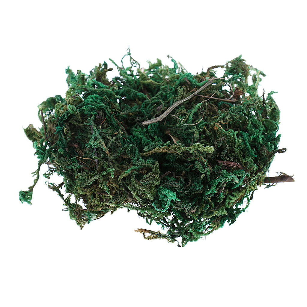 Military Armor/RR Scenery Terrain Vegetation Grass Models Green 500ML