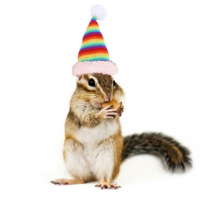 Pet Christmas Hat Santa Claus Cap Head Accessories for Rabbit Hamster Hedgehog