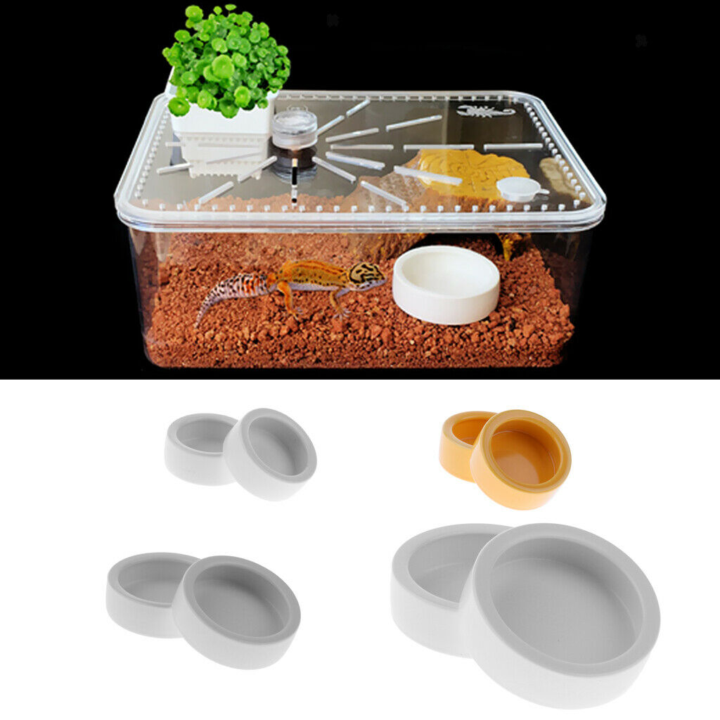 4Pcs Reptile Feeder Ceramics Reptile Lizard Food Bowl Anti-escape