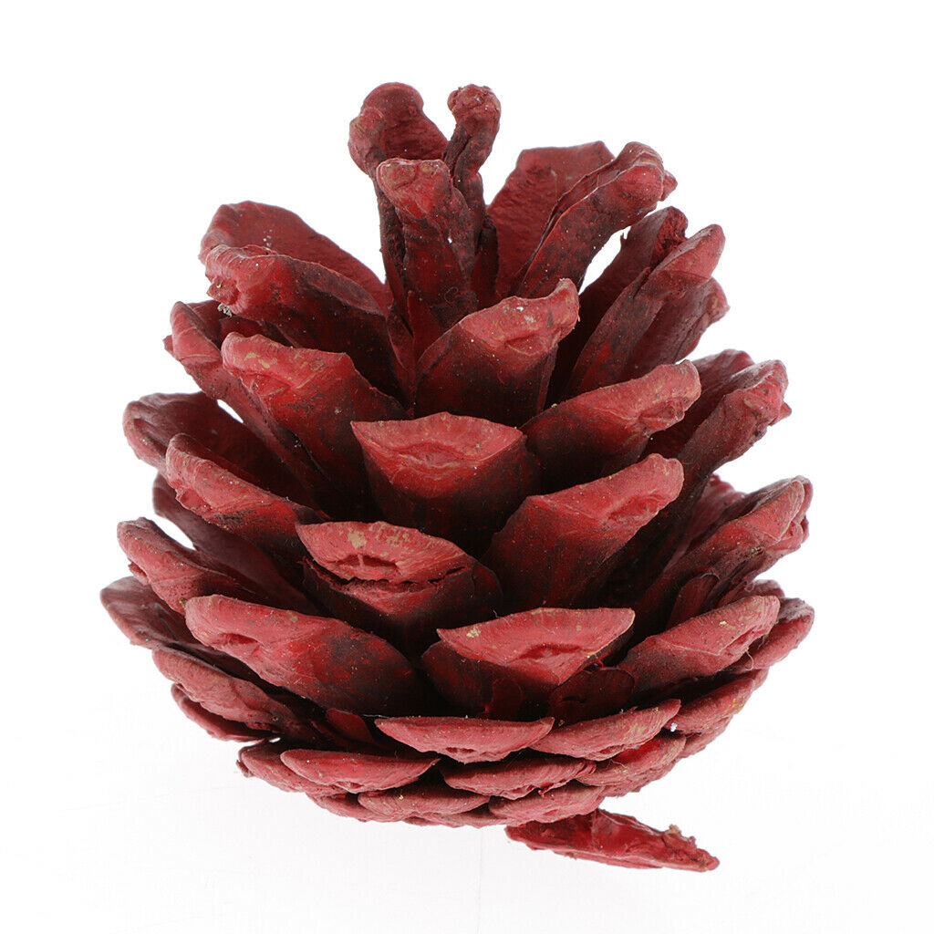10x Colorful Pine Cones Xmas Tree Pinecone Ornaments for Photo Props 4-5cm