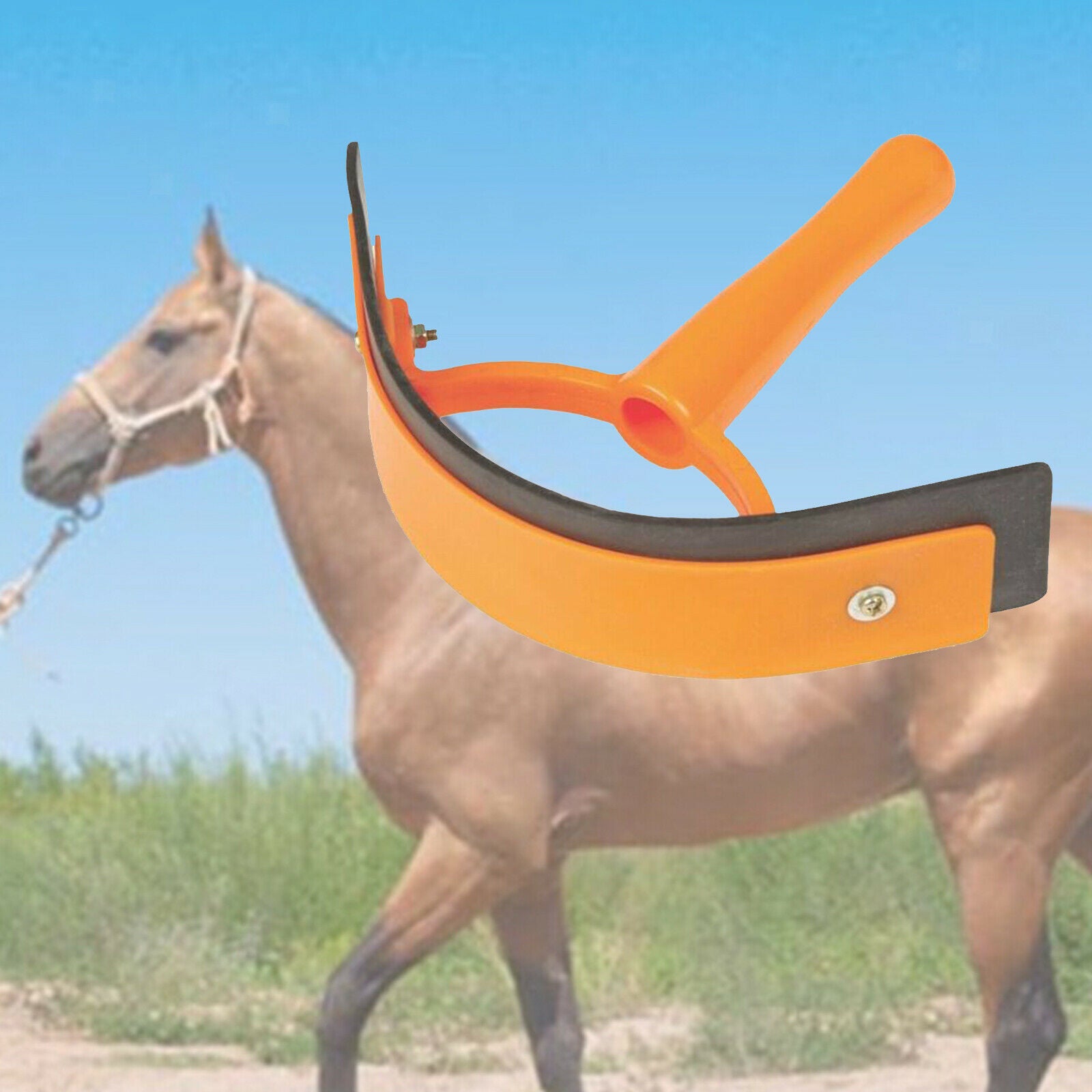 Horse Sweat Scraper Grooming Shaving Animal Equine Brushes Care Tool Equip