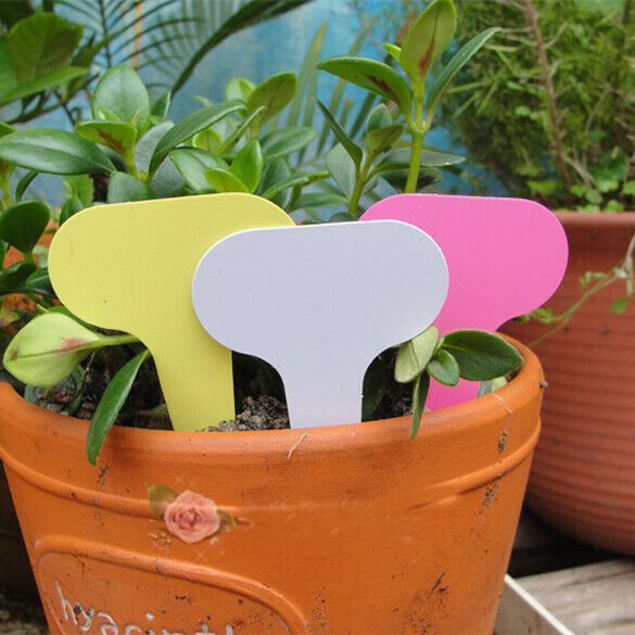 100pcs 6 x10cm Plastic Plant T-type Tags Markers Nursery Garden Labels Gray GO#
