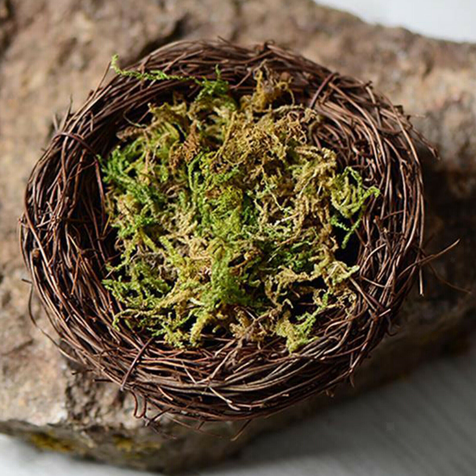 Artificial Dry Green Moss Lawn Flower Pot Decor Terrariums Arts Wedding